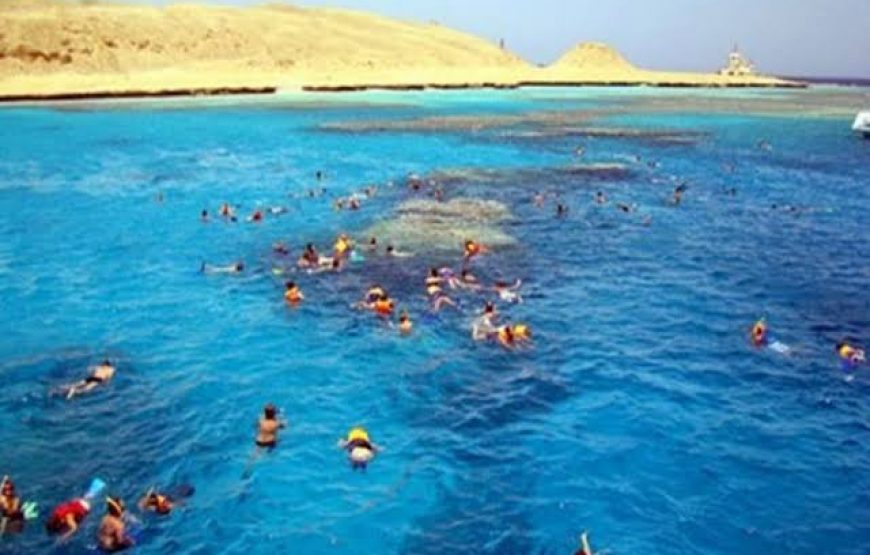 Snorkeling in Paradise Island