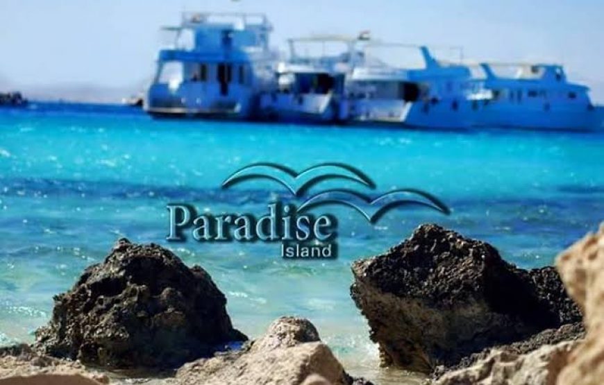 Snorkeling in Paradise Island