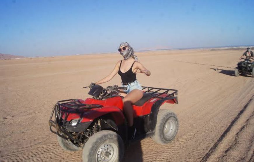 Super Safari in Sahara Park