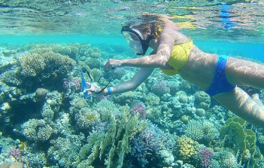 Snorkeling at Sharm El-Naga Bay