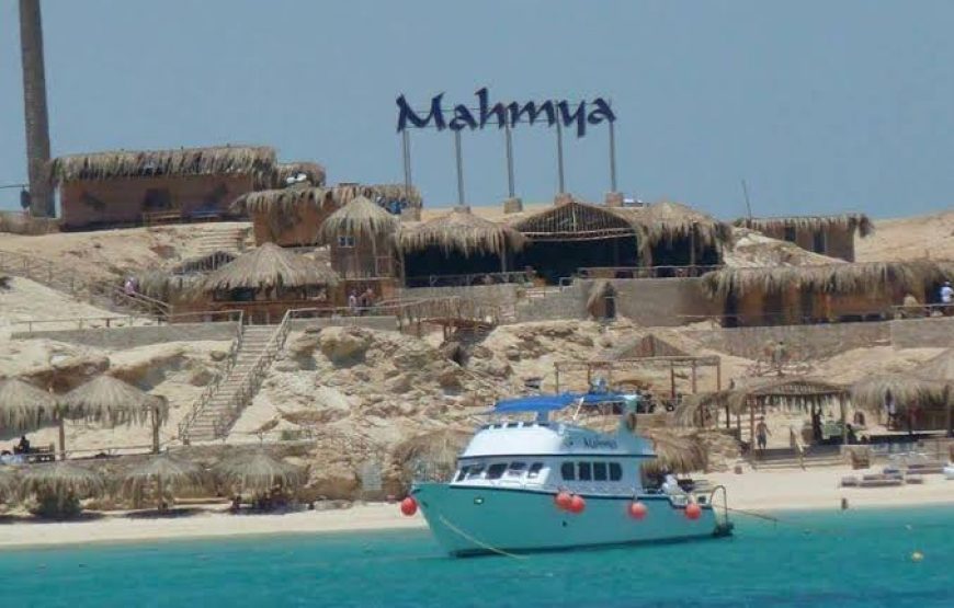 Snorkeling at Mahmya