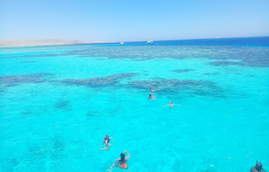 Snorkeling in Paradise Island