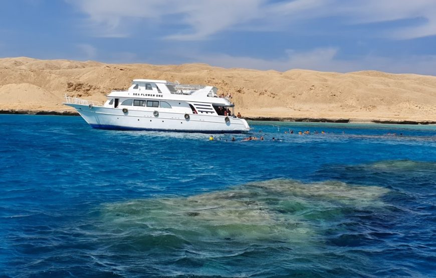 Snorkeling in Paradise Island