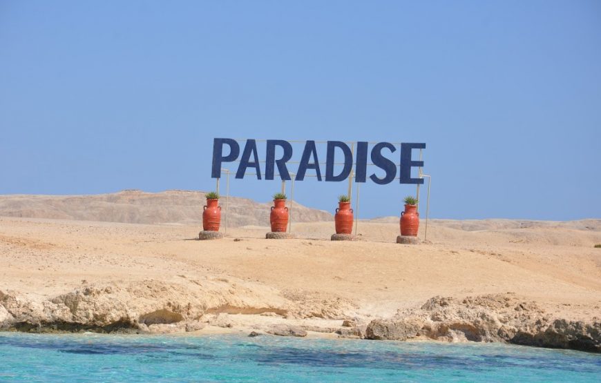 Snorkeling in Paradise Island