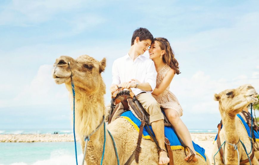 Super Safari in Sahara Park