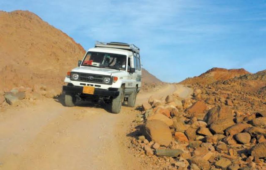 Super Safari in Sahara Park