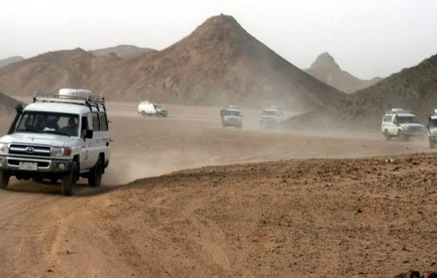 Super Safari in Sahara Park