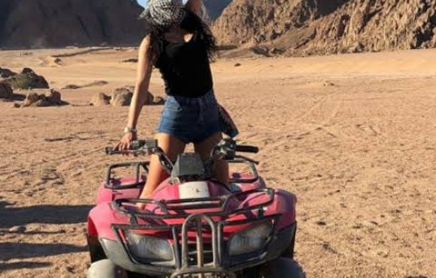 Super Safari in Sahara Park