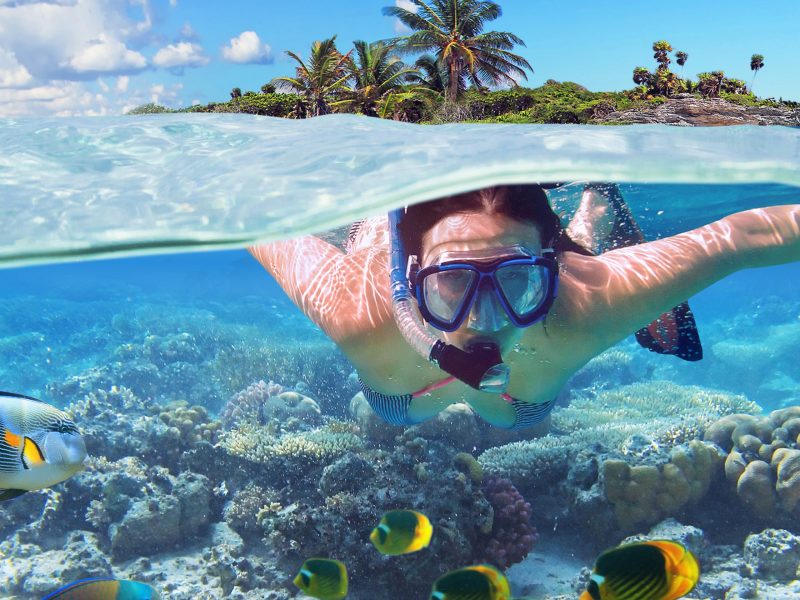 Snorkeling at Sharm El-Naga Bay