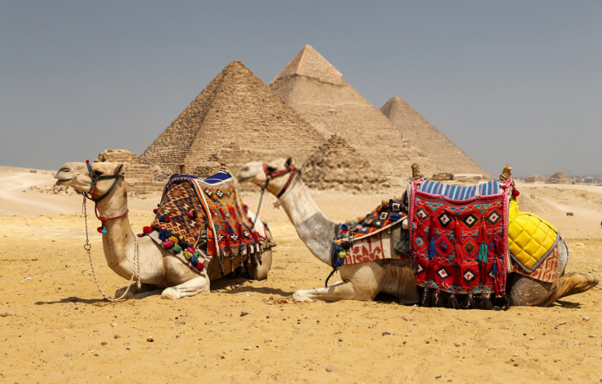 Cairo Trip Over Day