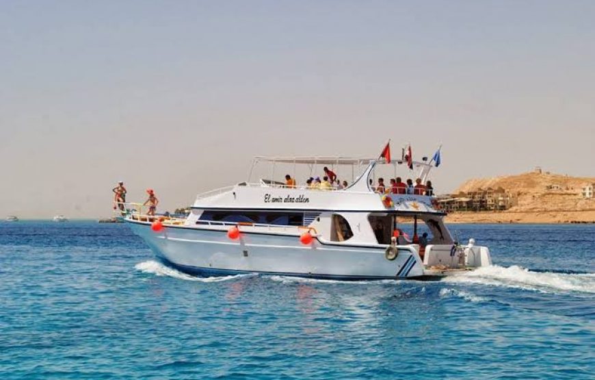 Dolphin Hous trip