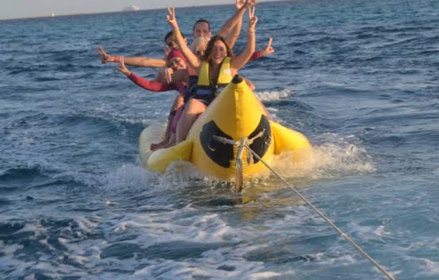 Dolphin Hous trip