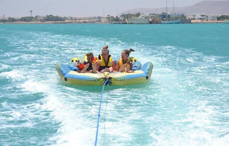 Dolphin Hous trip