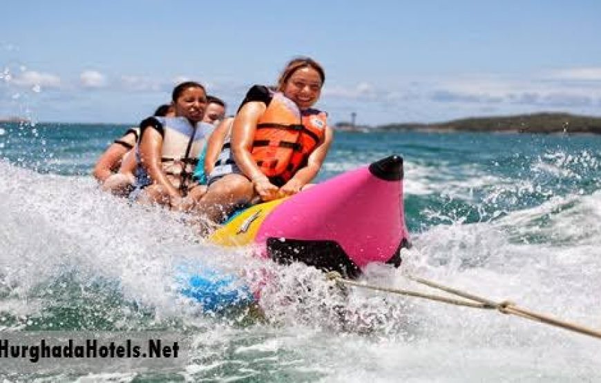 Dolphin Hous trip