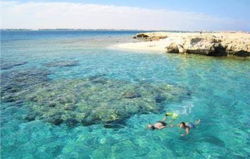 Snorkeling at Sharm El-Naga Bay