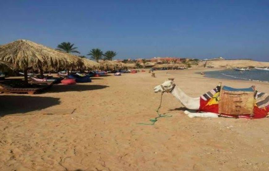 Snorkeling at Sharm El-Naga Bay