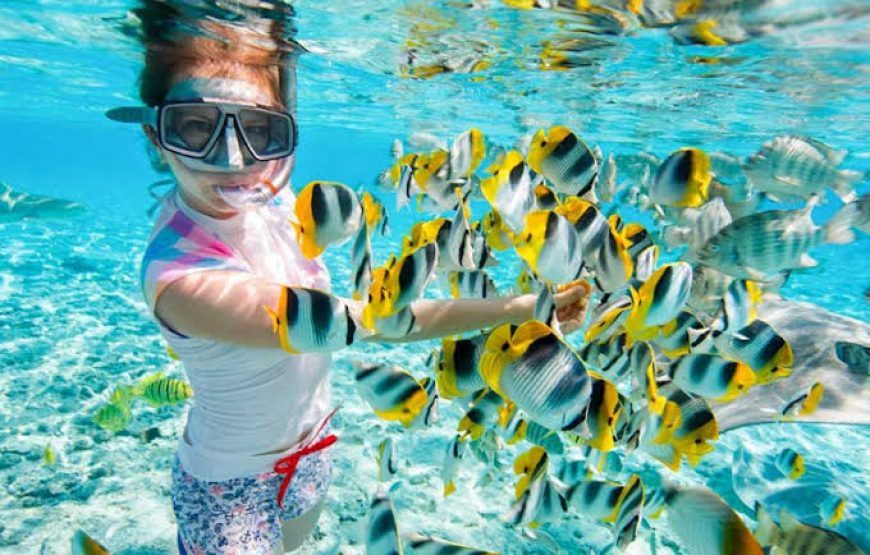 Snorkeling at Sharm El-Naga Bay