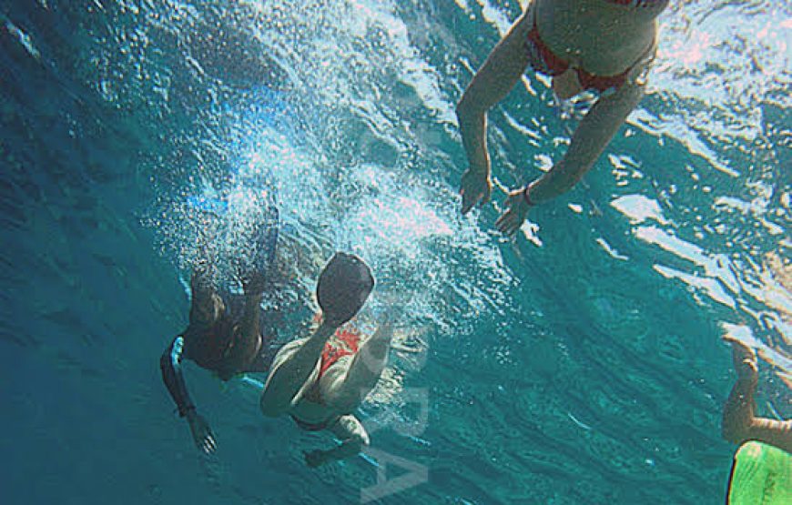 Snorkeling Trip at Giftun Island