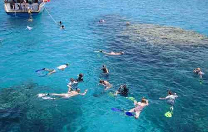 Snorkeling Trip at Giftun Island