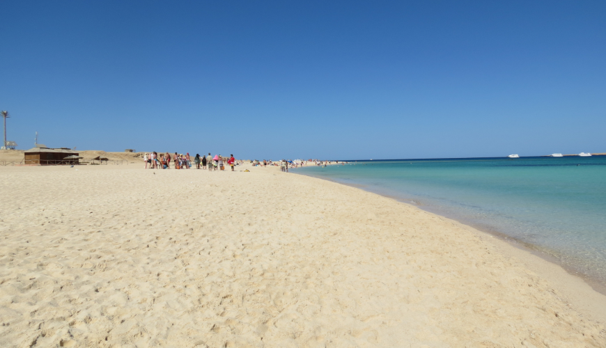 نقل بوشن الغردقة transfer buchen| hurghada
