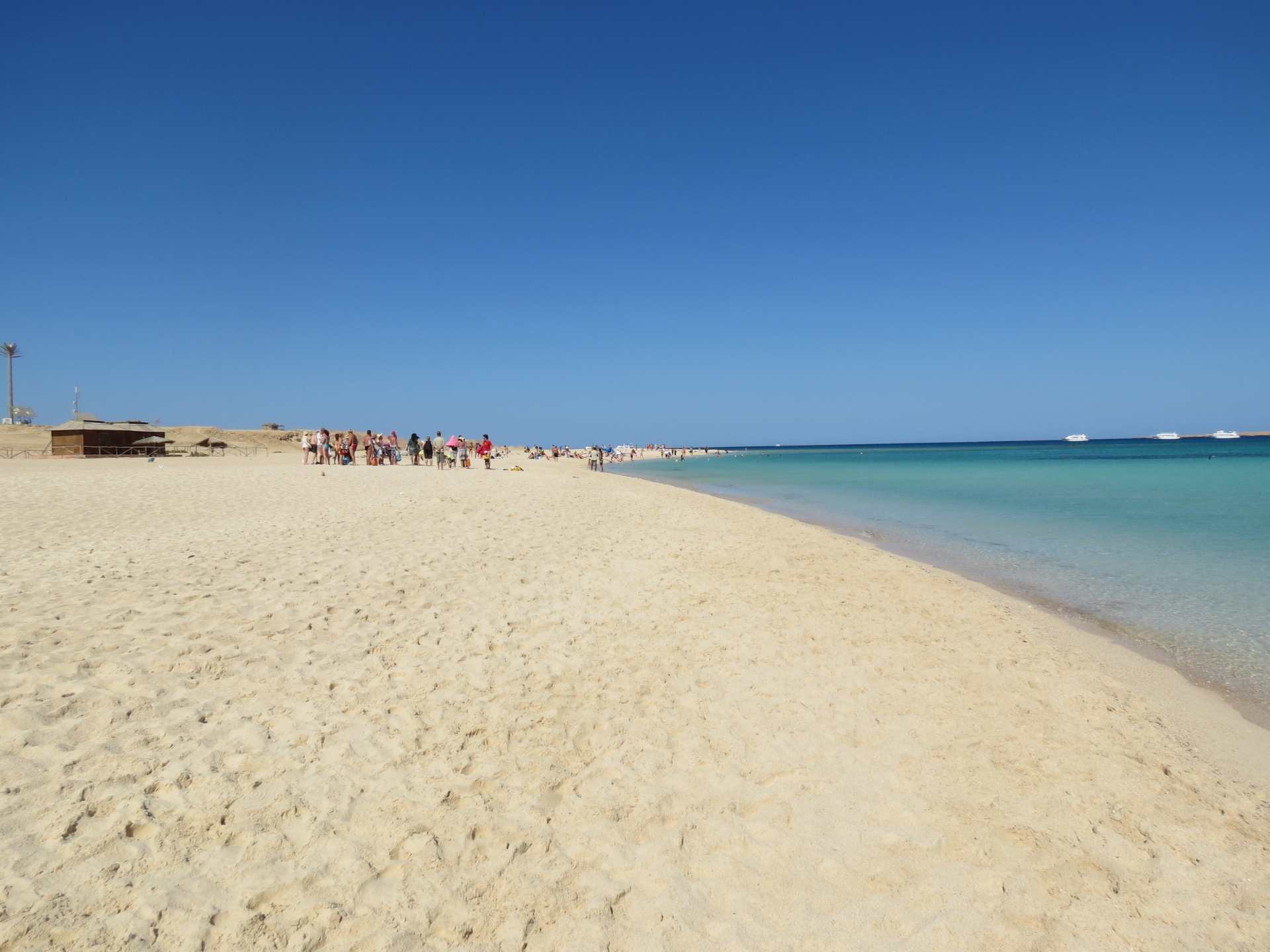 نقل بوشن الغردقة transfer buchen| hurghada