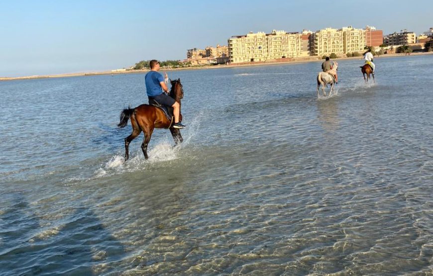 Horse Riding