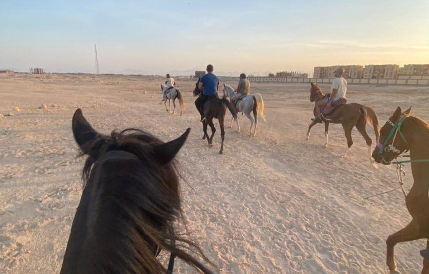 Horse Riding