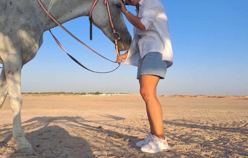 Horse Riding