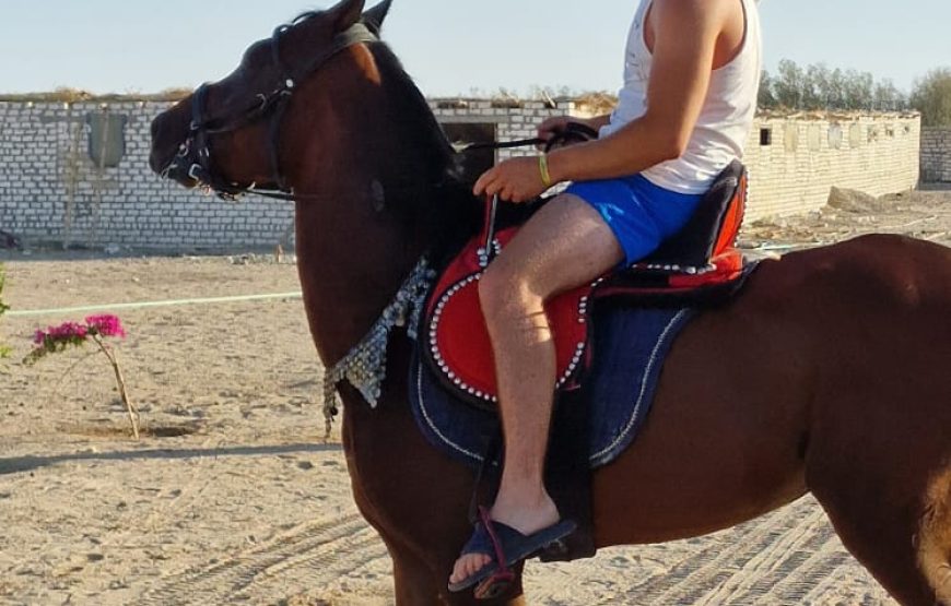 Horse Riding