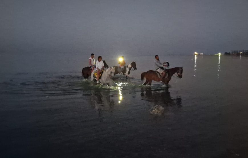 Horse Riding
