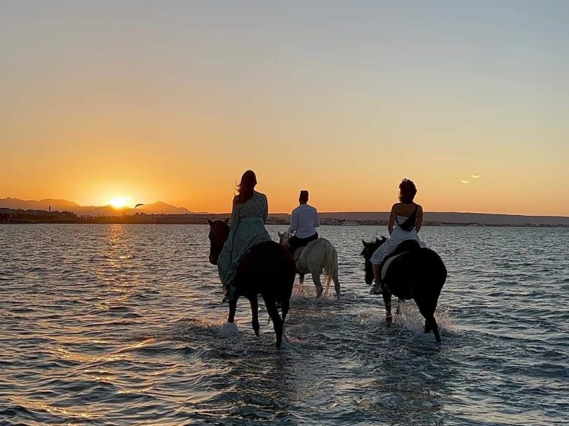 Horse Riding