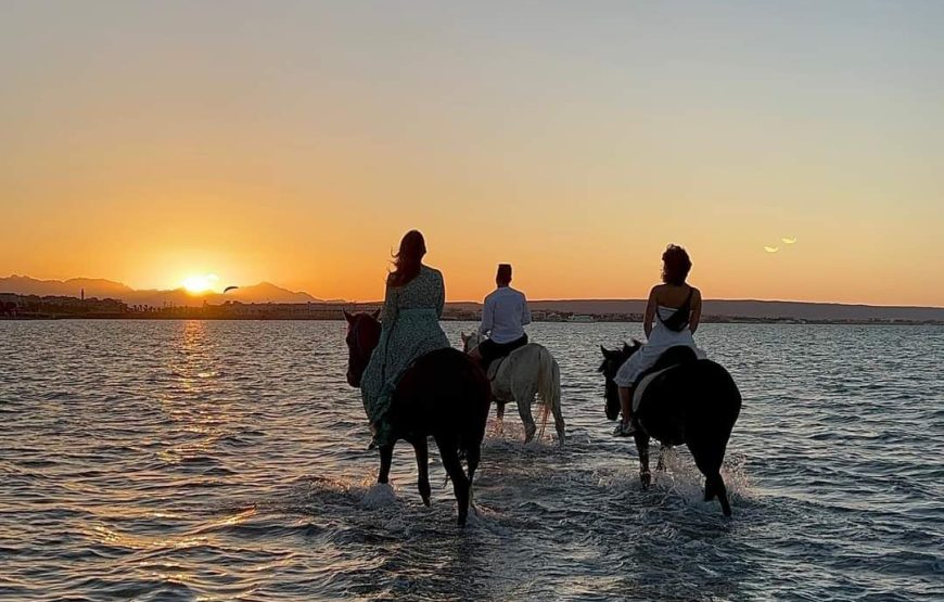 Horse Riding