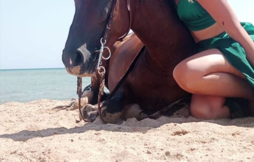 Horse Riding