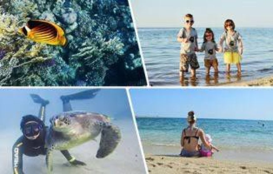 Snorkeling at Abu Dabbab Bay