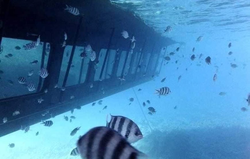 Sea Scope Hurghada
